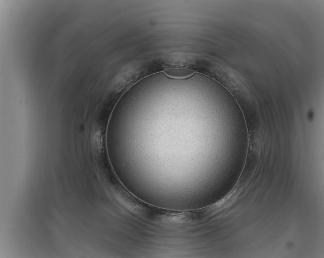 X0000097460086200802291246