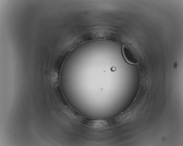 X0000097460087200802291246