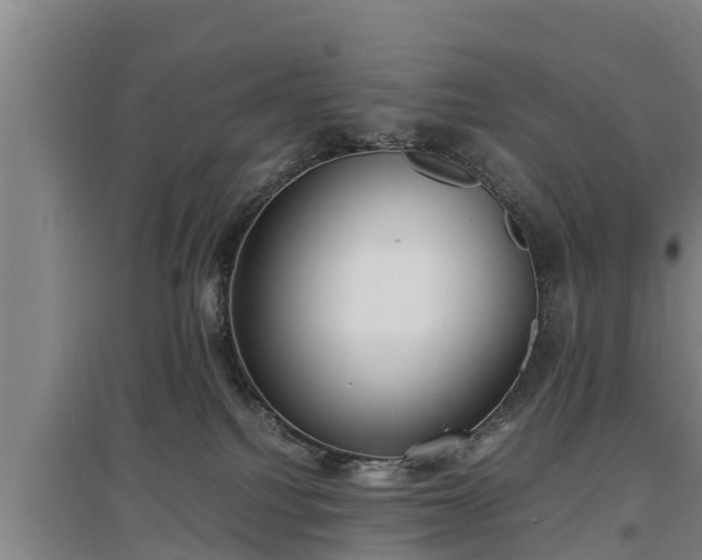 X0000097460088200802291246