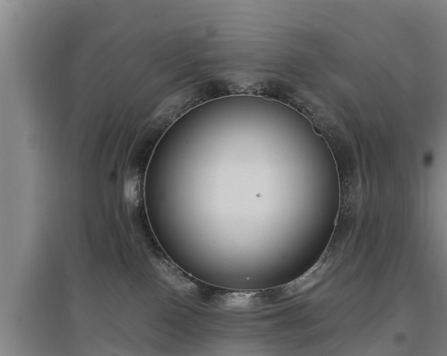 X0000097460090200802291246