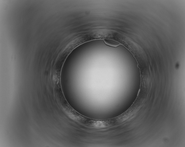 X0000097460091200802291246