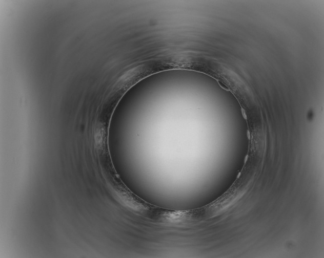 X0000097460092200802291246