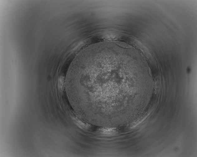 X0000097460093200802291246