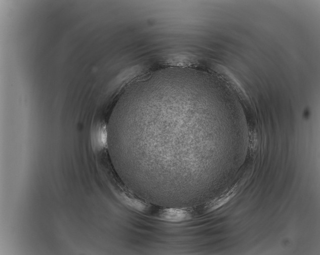 X0000097460095200802291246