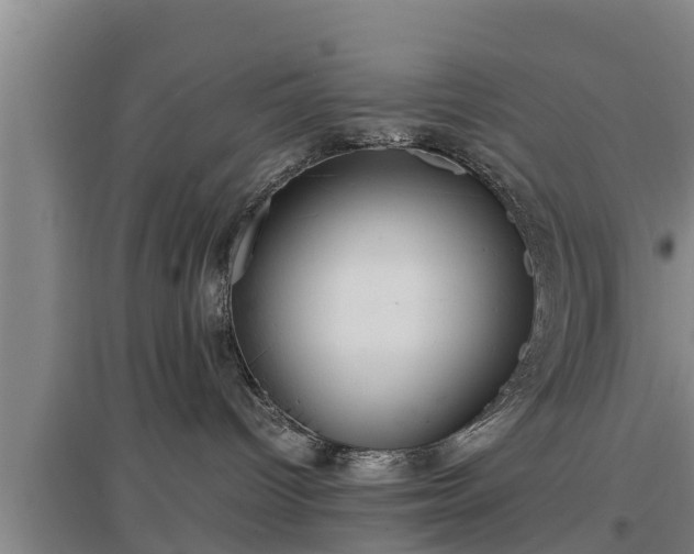 X0000097460096200802291246