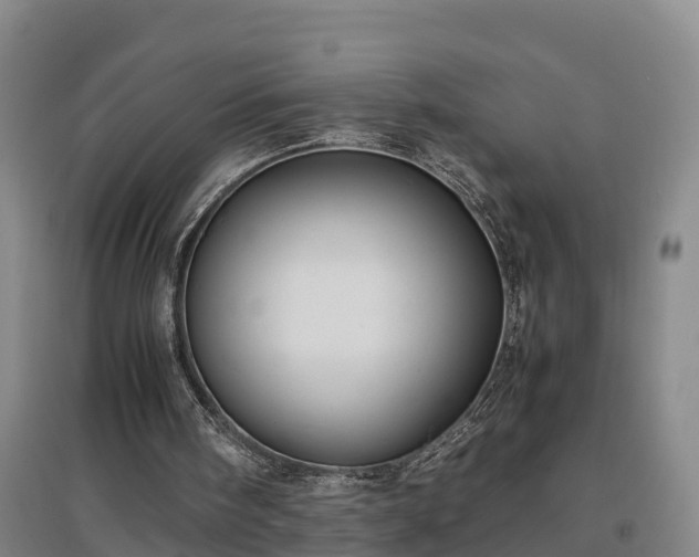 X0000097460098200802291245