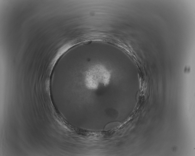 X0000097460099200802291245