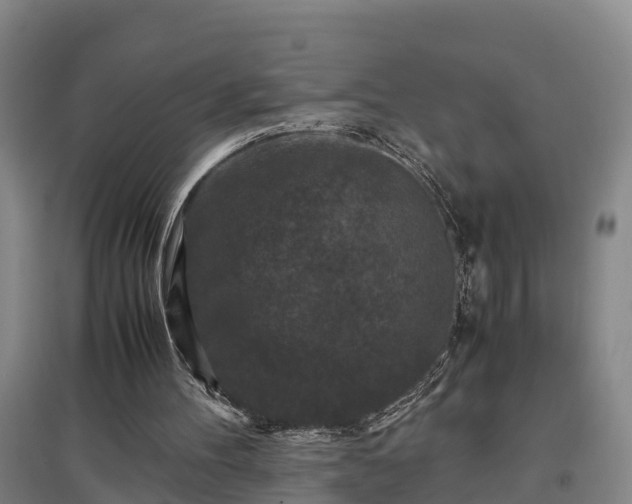 X0000097460100200802291245