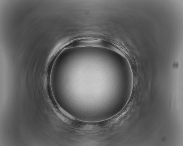 X0000097460101200802291245