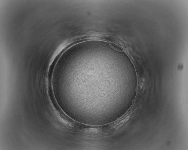 X0000097460102200802291245