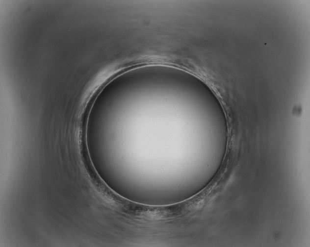 X0000097460103200802291245