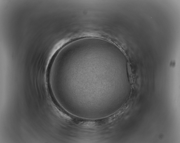 X0000097460104200802291245