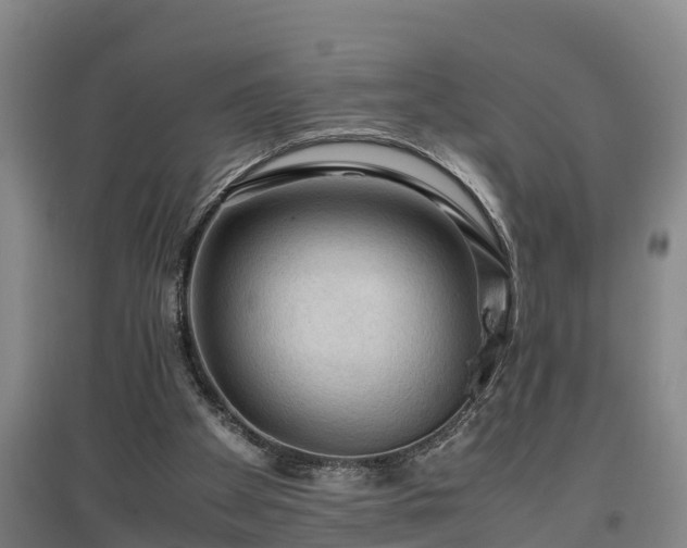 X0000097460105200802291245