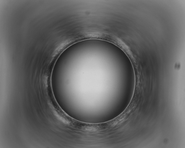 X0000097460106200802291245