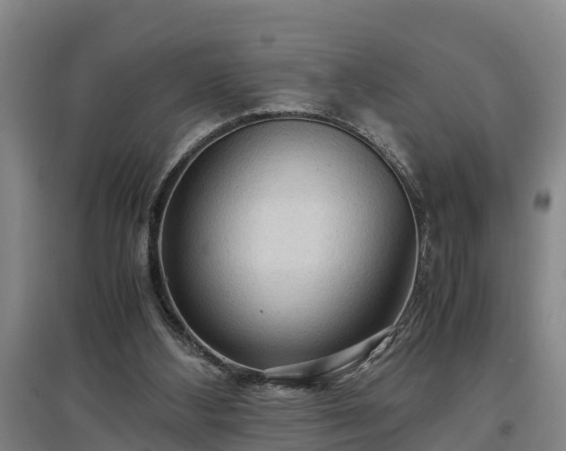 X0000097460108200802291245