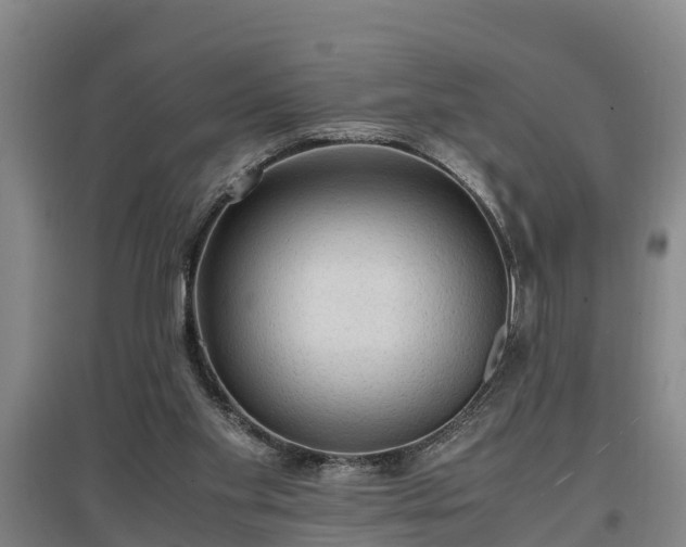 X0000097460109200802291245