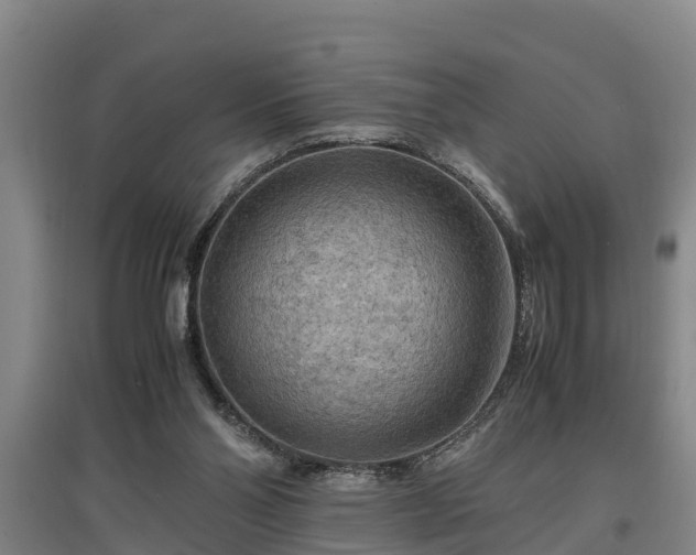 X0000097460110200802291245