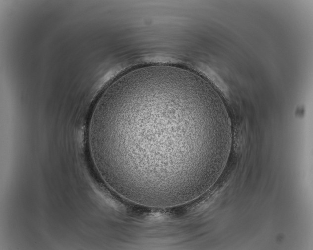 X0000097460111200802291245