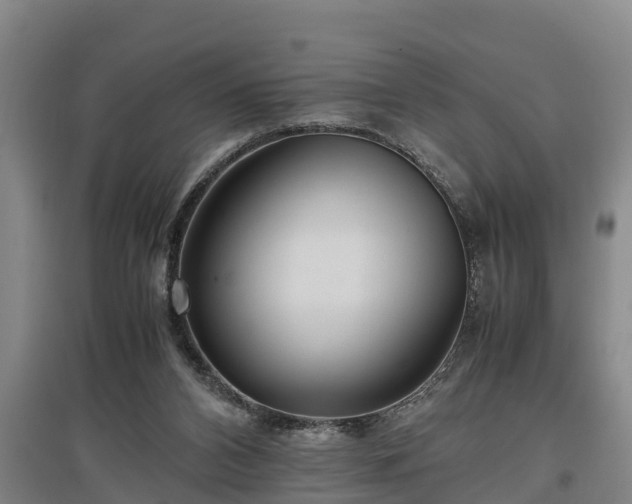 X0000097460112200802291245