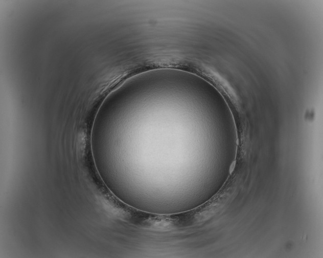 X0000097460113200802291245