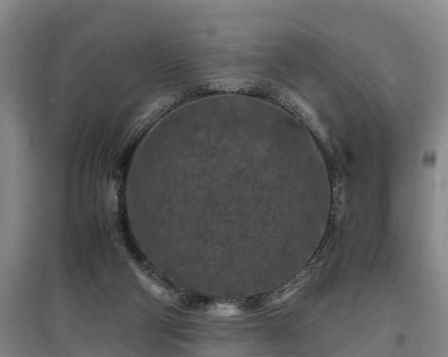 X0000097460114200802291245