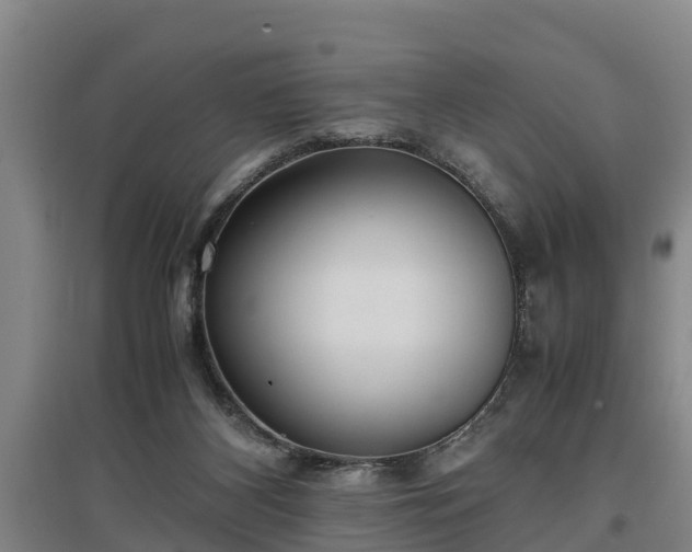 X0000097460116200802291245