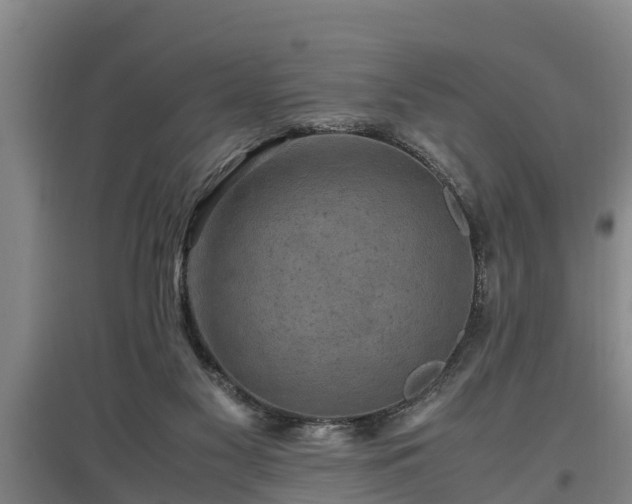 X0000097460117200802291245