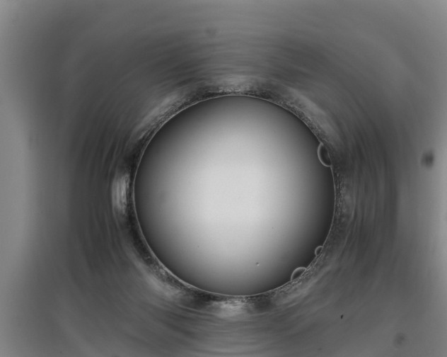 X0000097460118200802291245