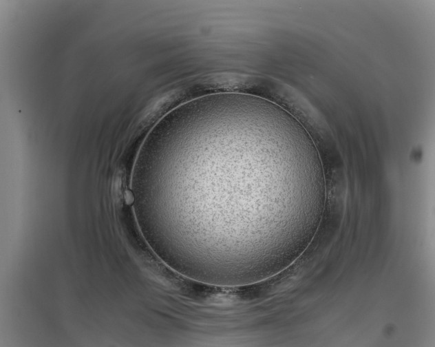 X0000097460119200802291245