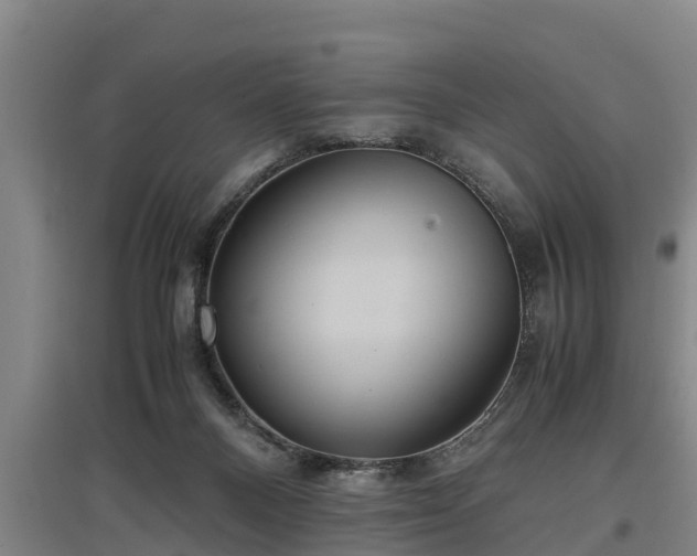 X0000097460120200802291245