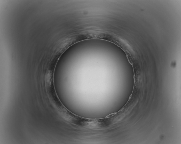 X0000097460121200802291245