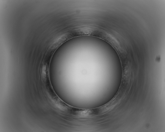 X0000097460122200802291245