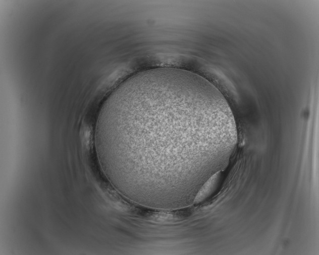 X0000097460123200802291245