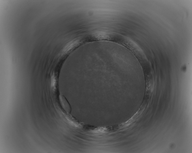 X0000097460124200802291245