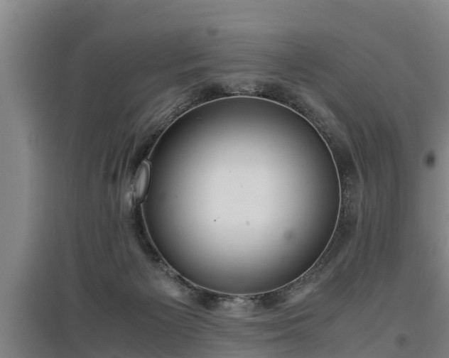 X0000097460125200802291245