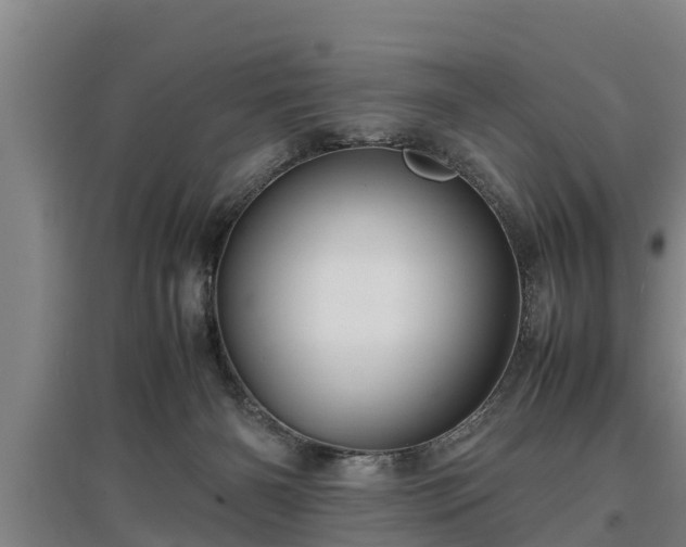 X0000097460126200802291245