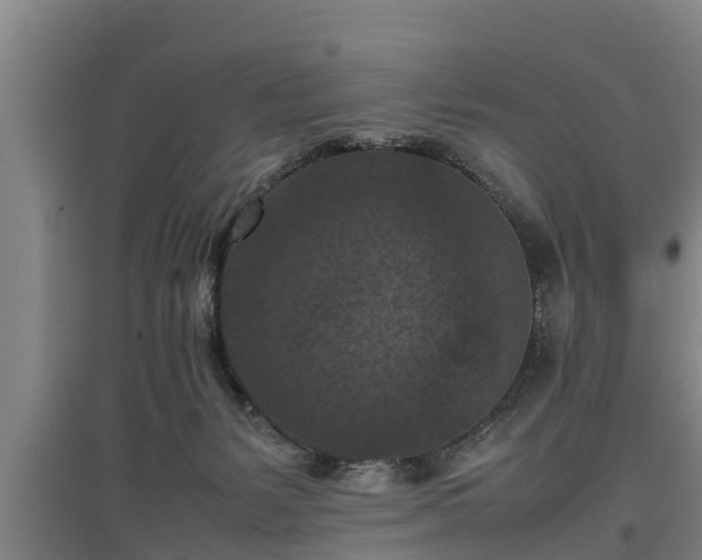 X0000097460127200802291245