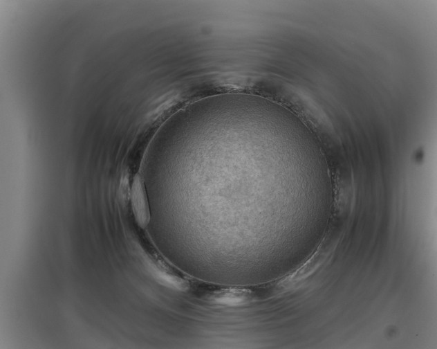 X0000097460128200802291245