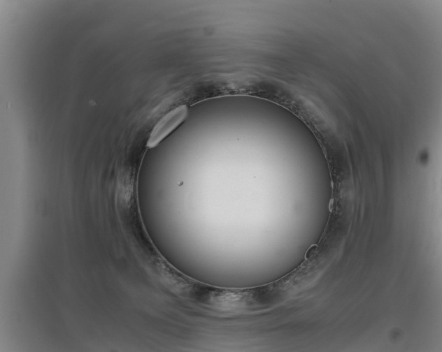 X0000097460129200802291245