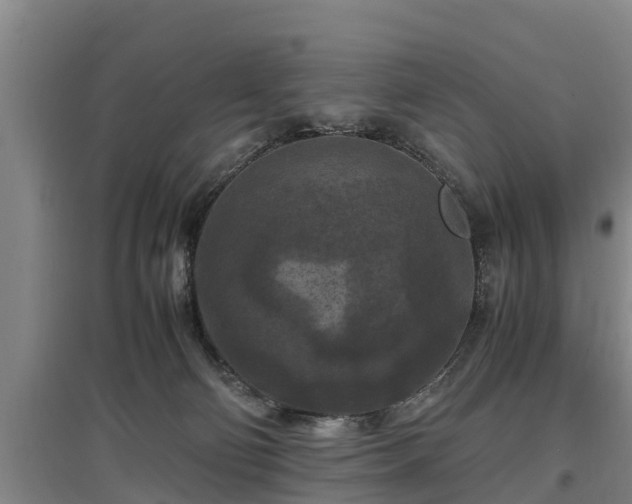 X0000097460130200802291245