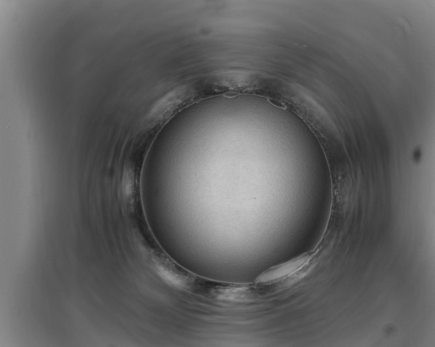 X0000097460132200802291245