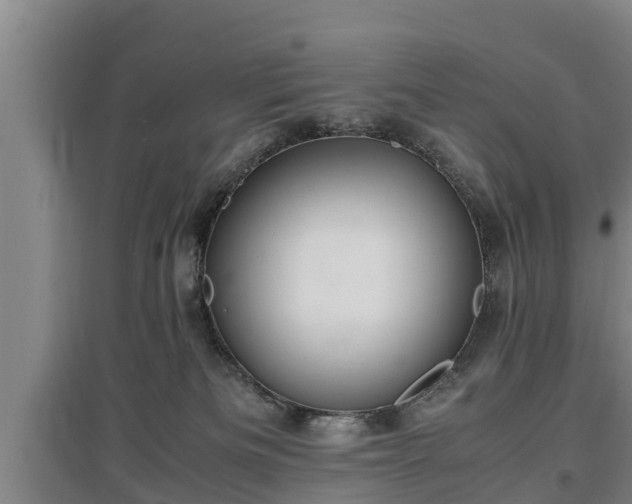 X0000097460133200802291245