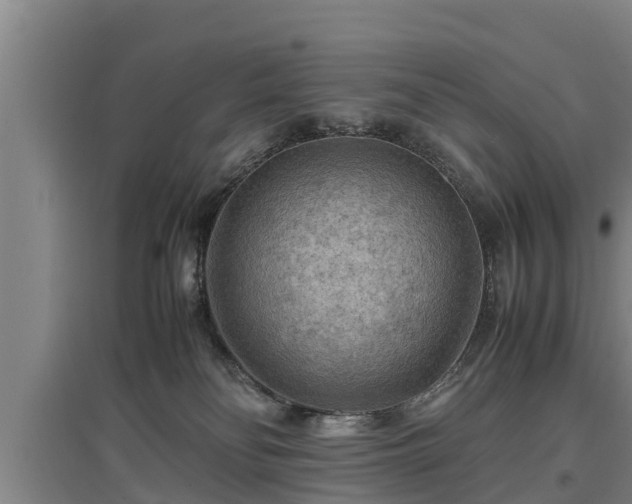 X0000097460134200802291245