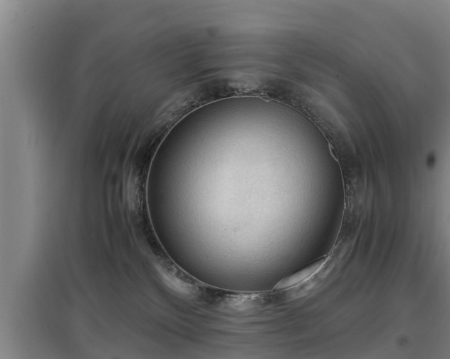 X0000097460136200802291245