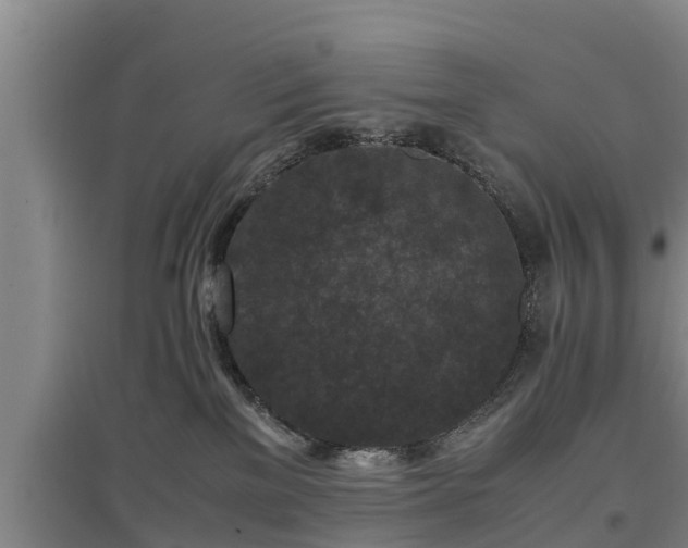 X0000097460137200802291245