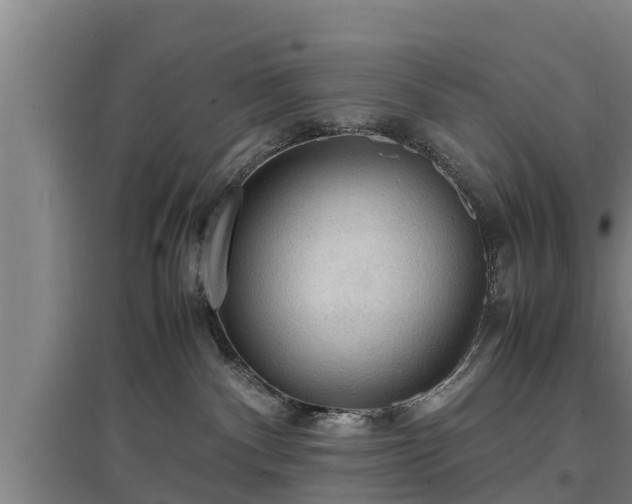 X0000097460140200802291245