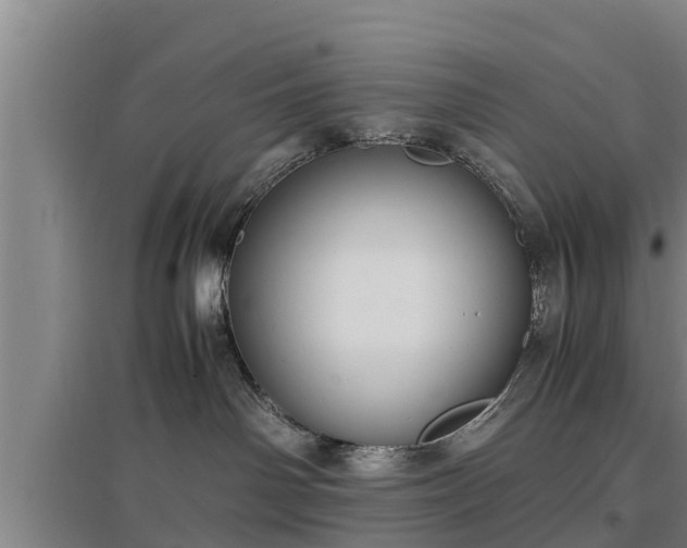 X0000097460142200802291245