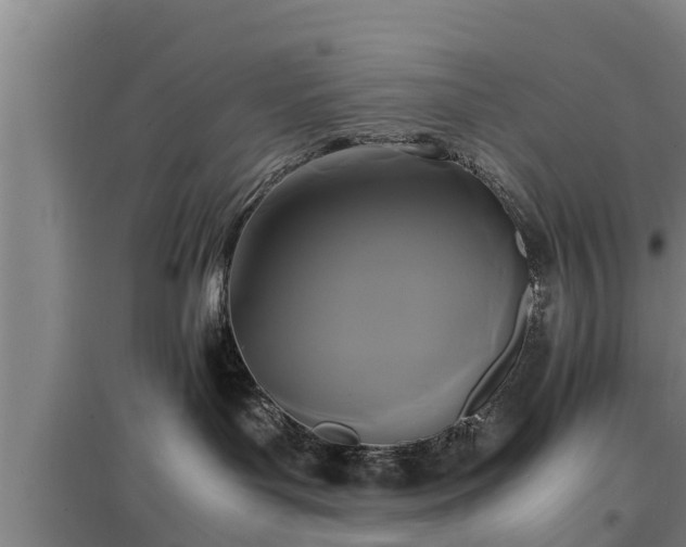 X0000097460143200802291245