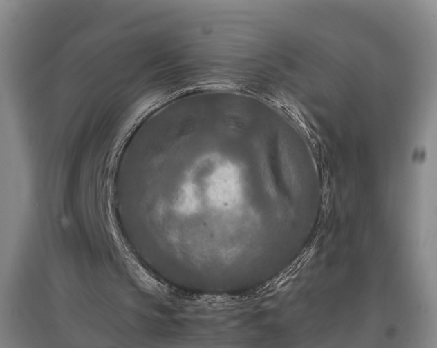 X0000097460145200802291244