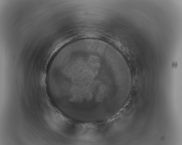 X0000097460146200802291244